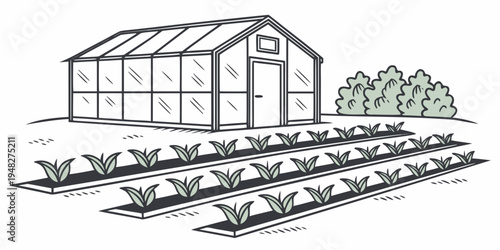 a small greenhouse with plants growing in rows Vector