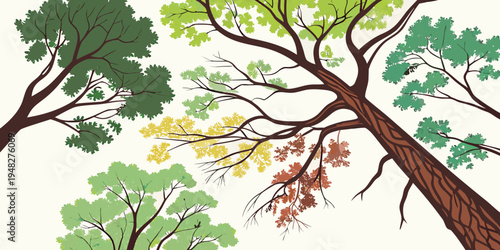 a tree with colorful leaves and branches Vector
