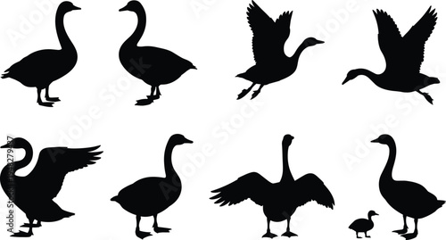 Goose silhouettes collection isolated on white background, wild goose bird shapes set, flying and standing waterfowl clipart bundle for wildlife, nature and design