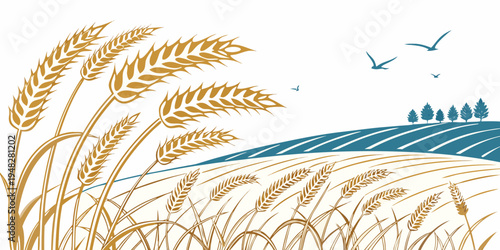 a field of wheat with a blue wave and birds flying overhead Vector
