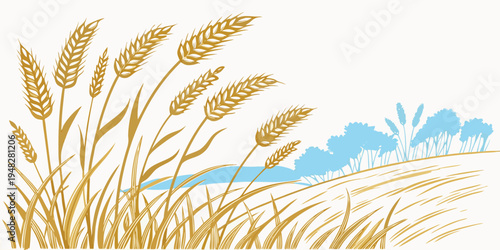 a bunch of wheat stalks with blue sky Vector
