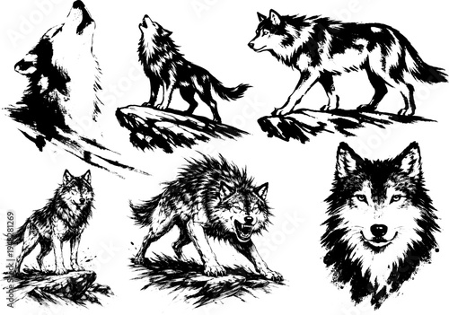 Set of hand drawn ink style brush stroke wolf illustrations in vector design