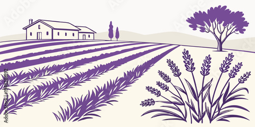 a purple illustration of a farm with lavender fields Vector