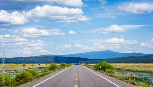 Картината върху платно road in the mountains
