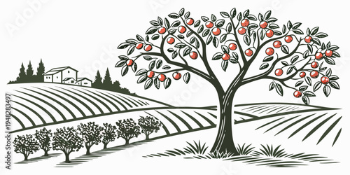 an apple tree in a vast orchard landscape Vector