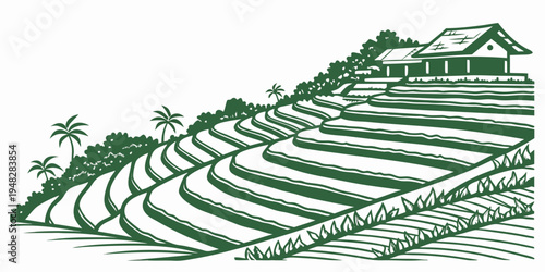 a green illustration of rice terraces with a house on a hill Vector