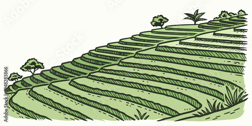 a green rice terrace with trees on top Vector