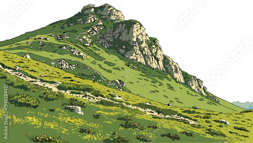 a large green mountain with yellow flowers on its side Vector