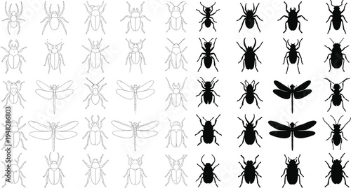 Insects and spiders line art icons with black silhouettes, beetle dragonfly and ant species for nature and biology design, isolated vector illustrations on white background