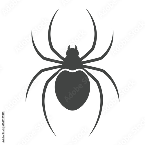 Black spider vector