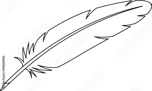 A stylized feather drawing with intricate line details and a graceful curve Vector
