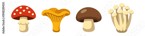 Various cartoon mushrooms in colorful and playful designs