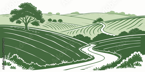 a green landscape with a winding road through vineyards Vector