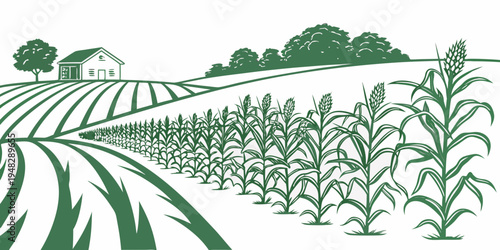 a green illustration of a farm with cornfields and a barn Vector