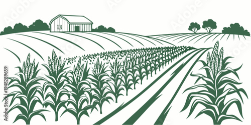 a green illustration of a cornfield with a farmhouse in the background Vector