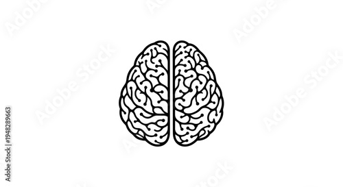 Stylized Brain Illustration on White Background for Medical Concepts.