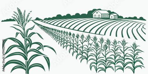 a green illustration of a cornfield with a farmhouse in the background Vector