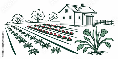 a farm with a house and rows of vegetables and flowers Vector