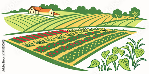 a farm with a house and fields of vegetables and flowers Vector