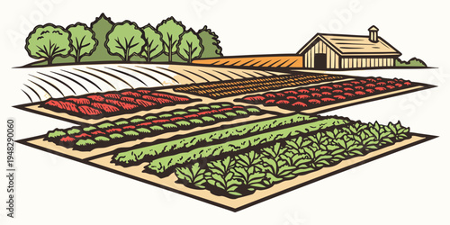 a garden with rows of vegetables and a house in the background Vector