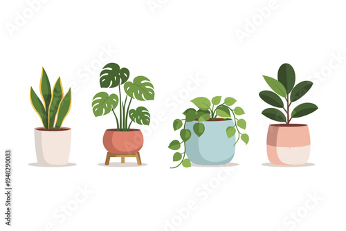 Collection of four potted houseplants with diverse foliage and decorative pots