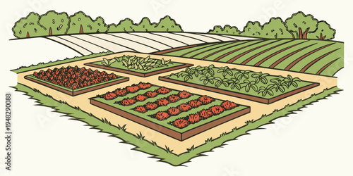 a garden with multiple plots of land for growing vegetables Vector