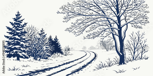 a snowy road with trees on a winter day Vector