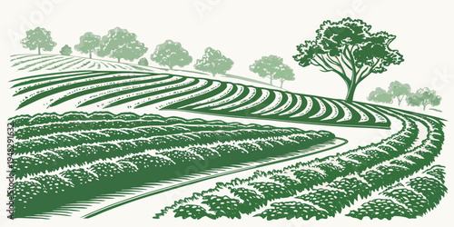 a green landscape with a tree and rows of crops Vector
