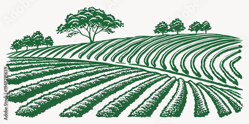 a green illustration of a field with rows of crops and trees in the background Vector