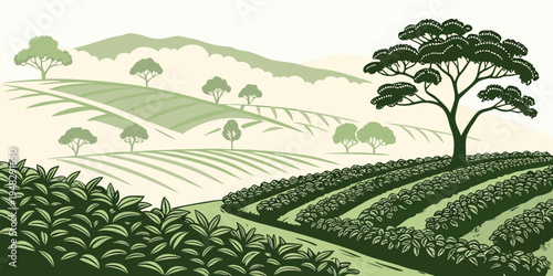 a green tea plantation with a large tree on a hill Vector