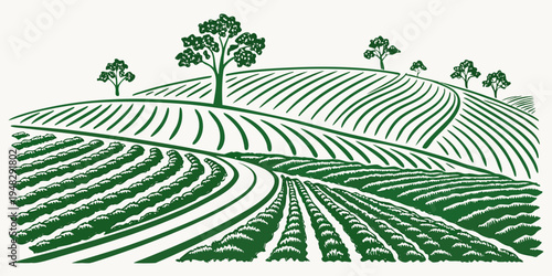 a green illustration of a vineyard with rows of crops and trees Vector