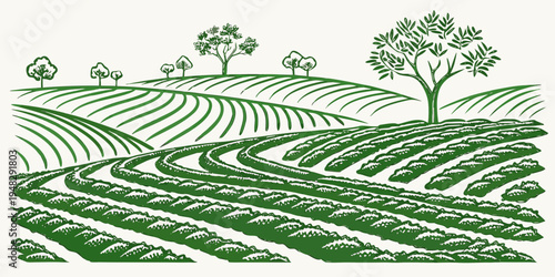 a green field with rows of crops and trees Vector