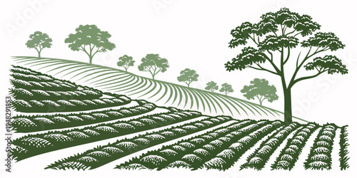 a green illustration of a vineyard on a hillside with trees Vector