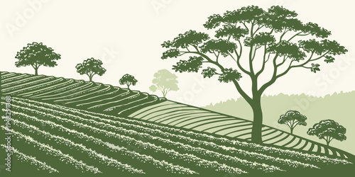 a green field with rows of crops and trees Vector