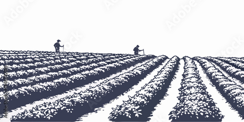 a field with rows of crops and a few people in the distance Vector