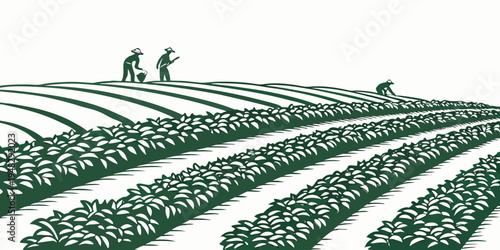 people working on a farm with rows of crops Vector