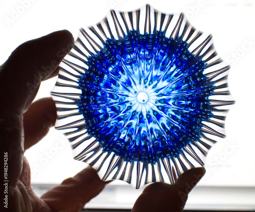 Fotografie fancy glass paperweight