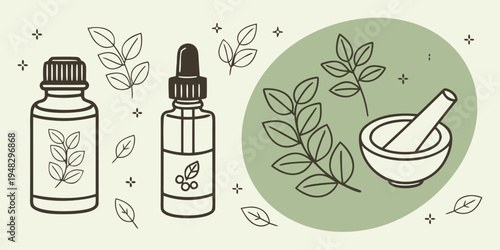 herbal medicine bottles and mortar with leaves Vector