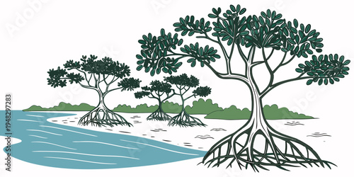 mangrove trees growing in a coastal area Vector
