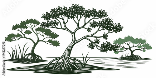 a group of trees with exposed roots in a swampy area Vector