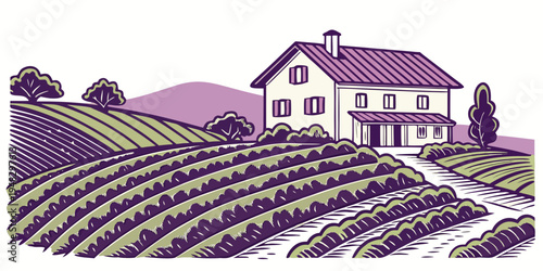 a large house on a hill overlooking a vineyard Vector