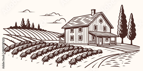 a house in a vineyard with a tree and birds flying overhead Vector