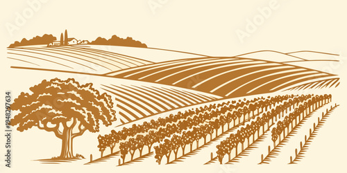 a brown illustration of a vineyard with rows of grapevines and a tree Vector