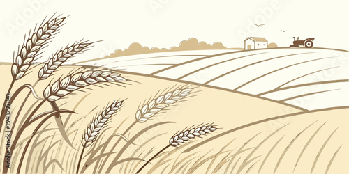 a wheat field with a farm in the distance Vector