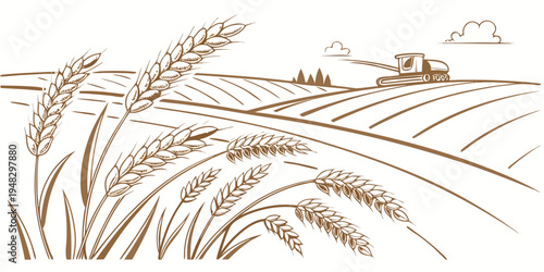 a brown illustration of several wheat stalks Vector