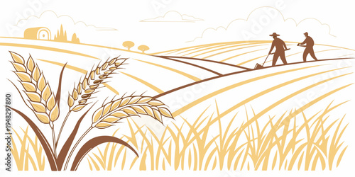 farmers working in a wheat field with oxen Vector