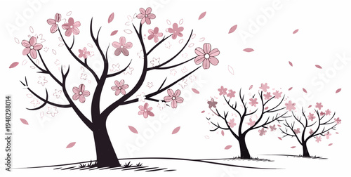 cherry blossom trees with pink flowers and petals Vector