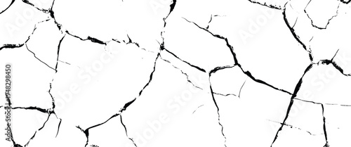Cracked white surface with intricate black fissures and lines