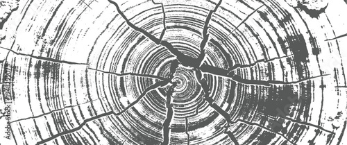 Black and white closeup of a tree trunk with visible rings and cracks wood texture