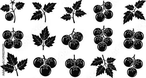 Tomato Plant Silhouette Icon Set with Leaves and Cherry Tomato Clusters Botanical Vegetable Collection for Organic Food Design, Agriculture Graphics, Labels, and Packaging